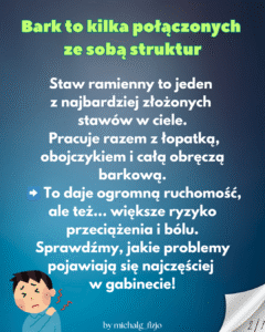 ból barku problem z barkiem ząbki fizjoterapia
